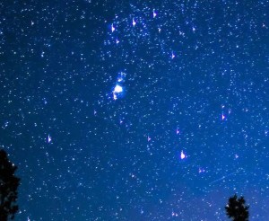 silhouette of trees and mountain under blue starry sky